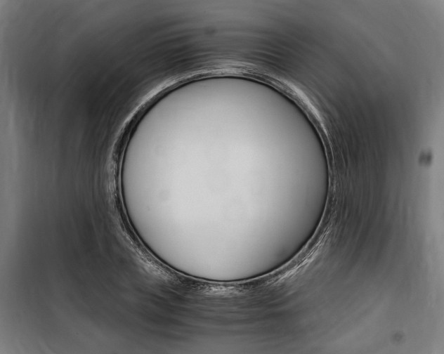 X0000100860835200806200836