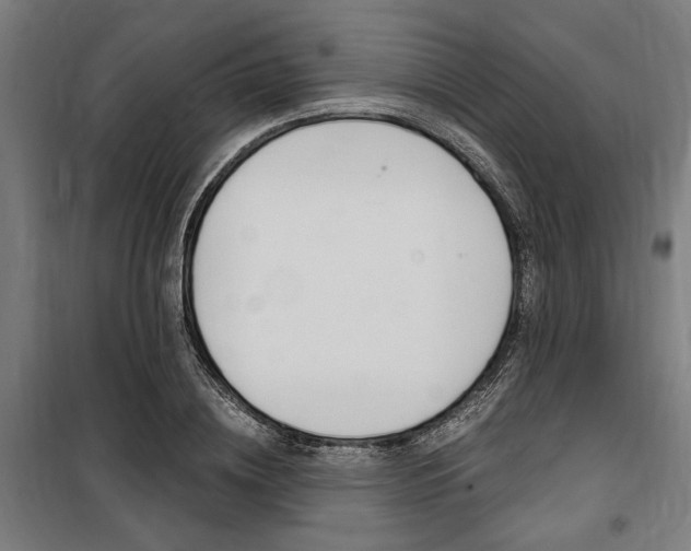 X0000100860836200806200836