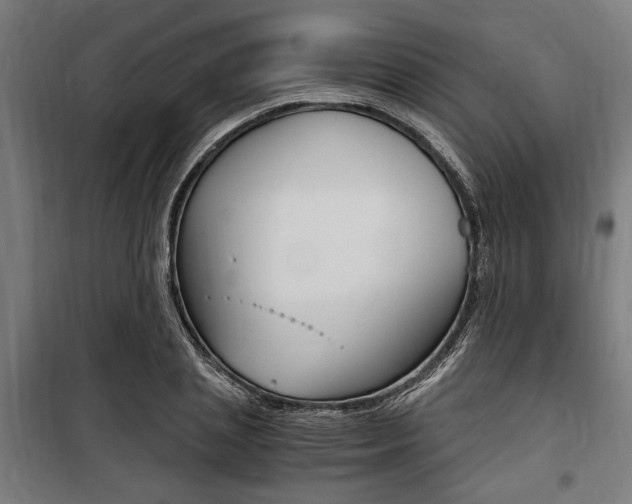 X0000100860837200806200836