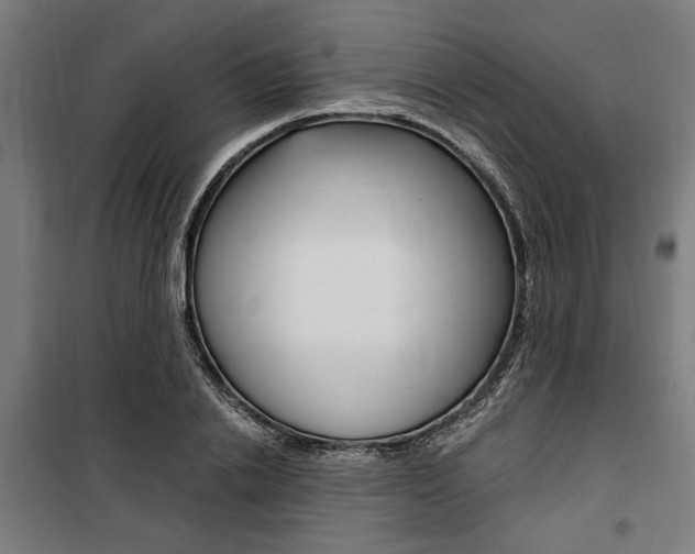 X0000100860838200806200836