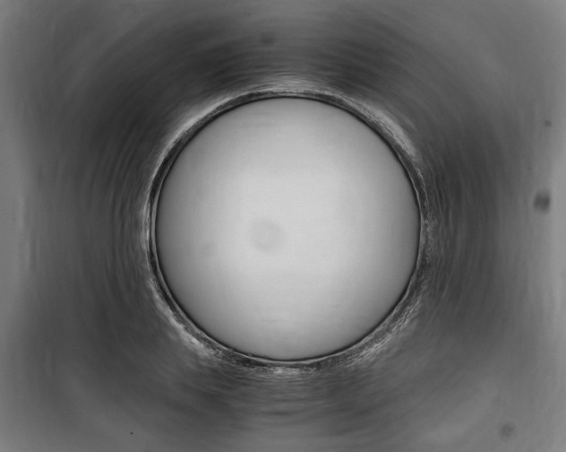 X0000100860839200806200836