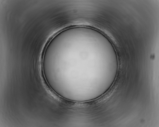 X0000100860840200806200836