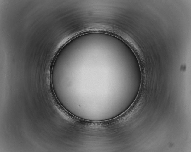 X0000100860842200806200836