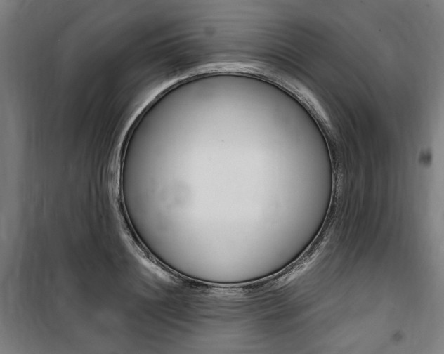 X0000100860844200806200836