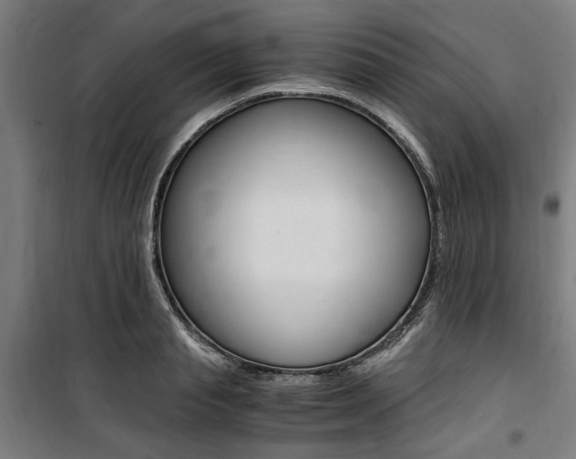 X0000100860845200806200836