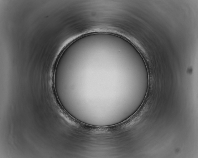 X0000100860846200806200836