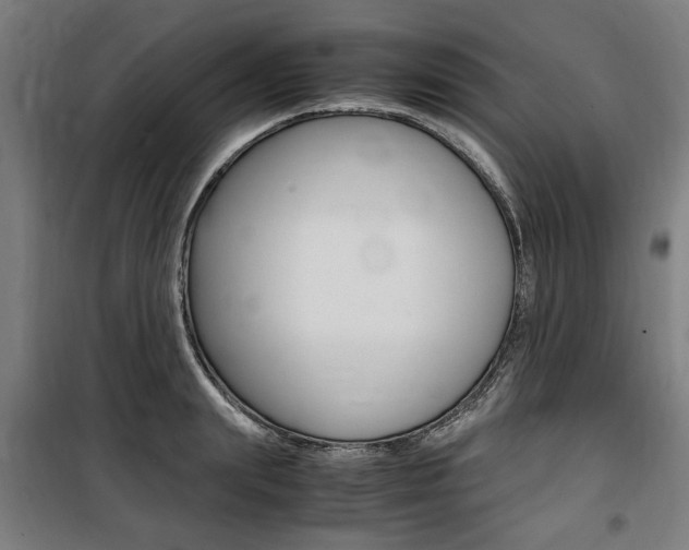 X0000100860847200806200836