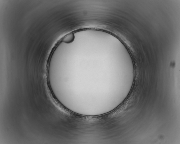 X0000100860848200806200836
