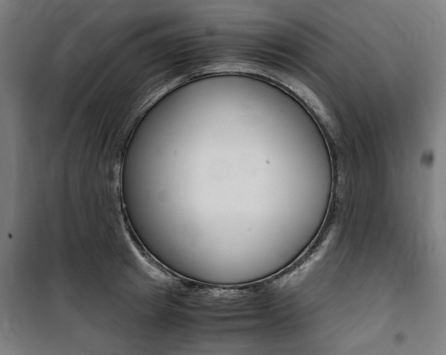 X0000100860849200806200836
