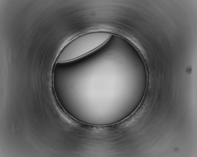 X0000100860850200806200836