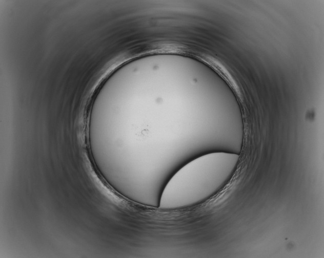 X0000100860851200806200836