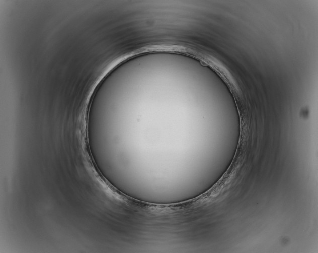 X0000100860852200806200836