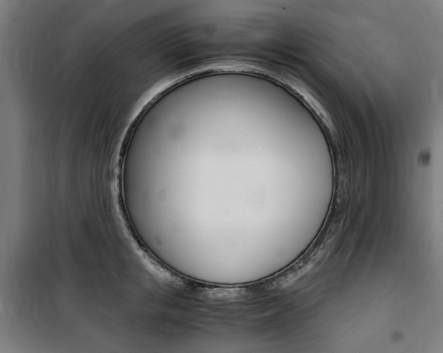 X0000100860853200806200836