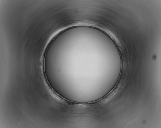 X0000100860854200806200836