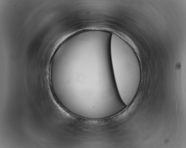 X0000100860855200806200836