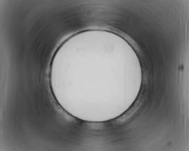 X0000100860856200806200836