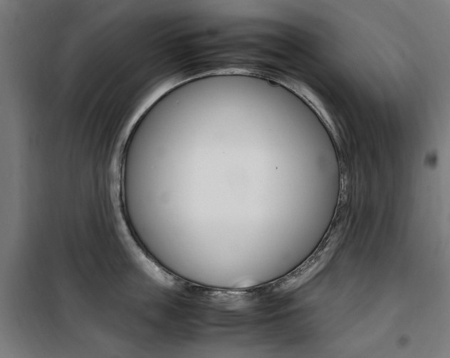X0000100860859200806200836