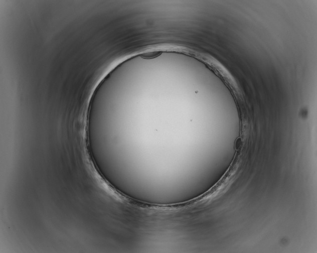 X0000100860860200806200836