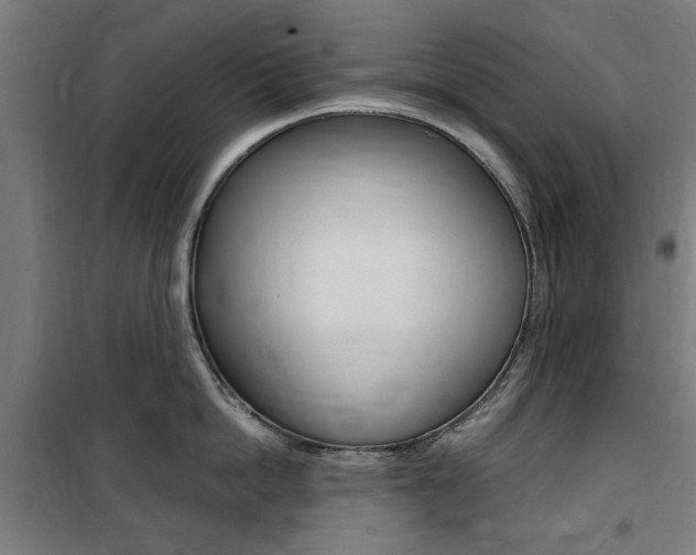 X0000100860862200806200836