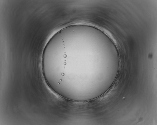 X0000100860863200806200836
