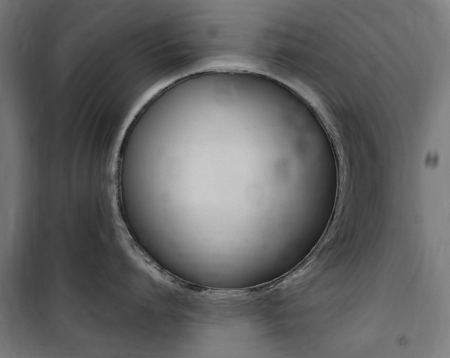 X0000100860864200806200836