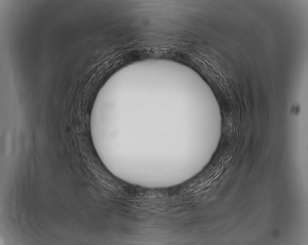 X0000100860865200806200836
