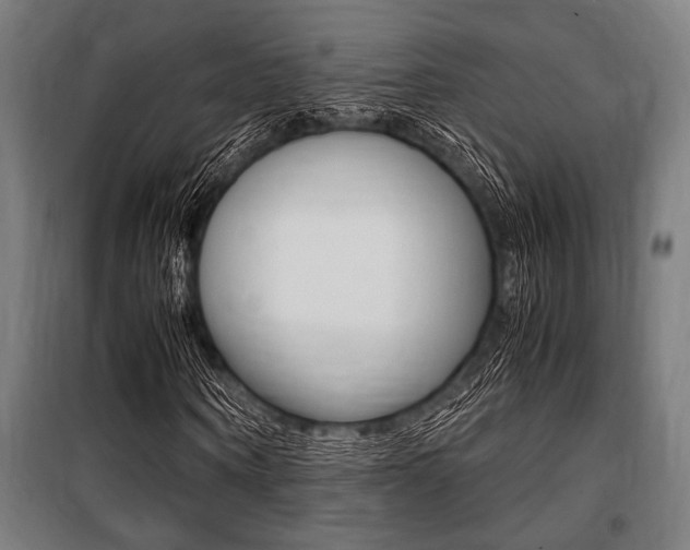 X0000100860866200806200836