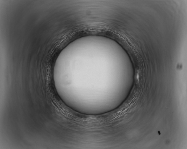 X0000100860867200806200836