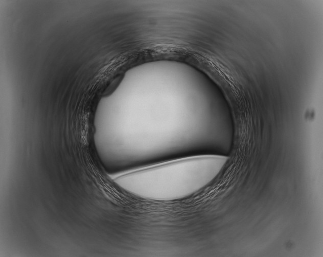 X0000100860868200806200836
