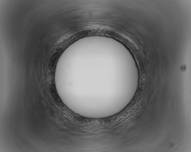 X0000100860869200806200836