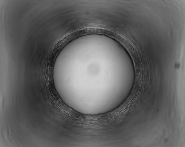 X0000100860870200806200836