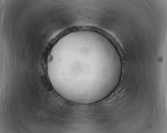 X0000100860871200806200836