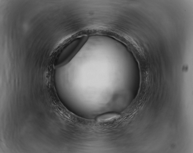 X0000100860872200806200836