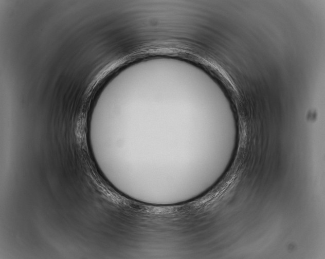 X0000100860874200806200836