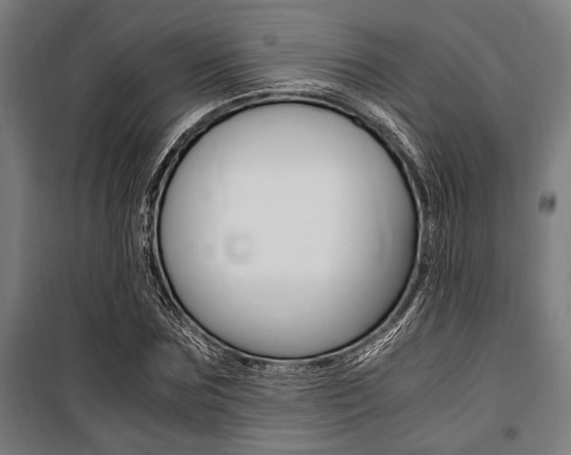 X0000100860875200806200835