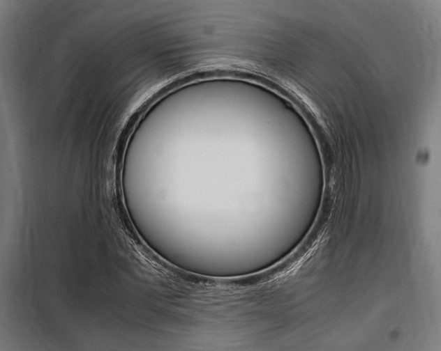 X0000100860877200806200835