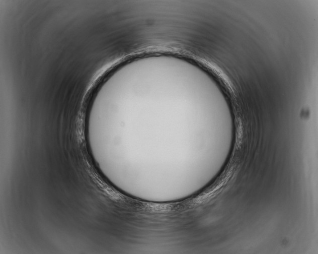 X0000100860878200806200835