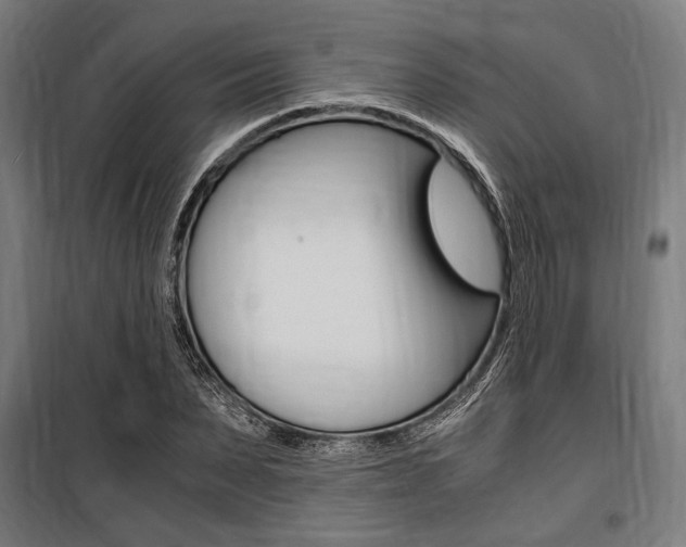 X0000100860879200806200835