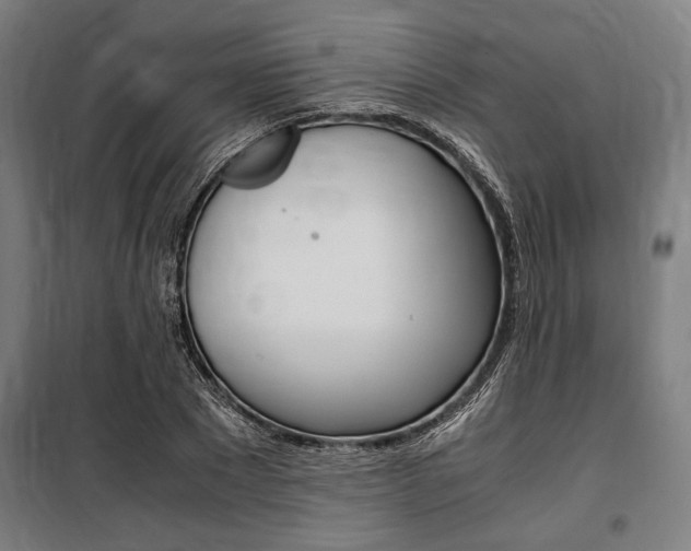 X0000100860881200806200835