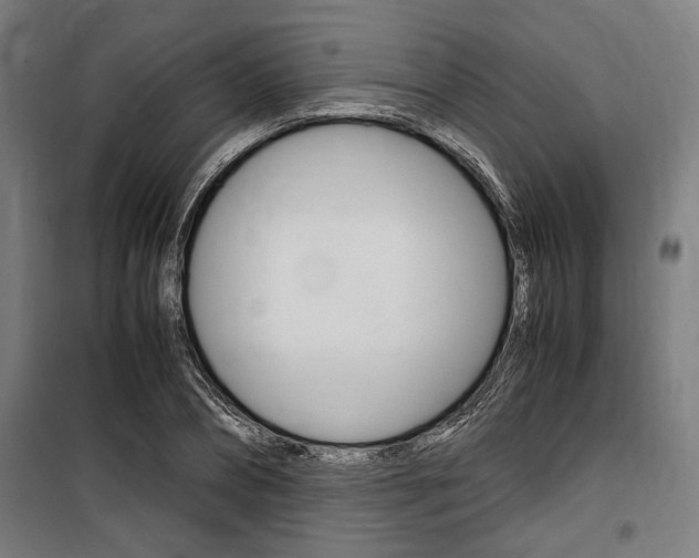 X0000100860882200806200835