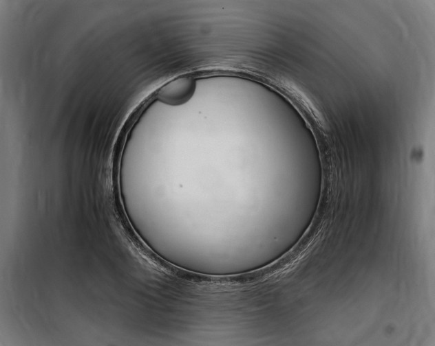 X0000100860884200806200835