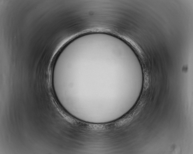 X0000100860886200806200835