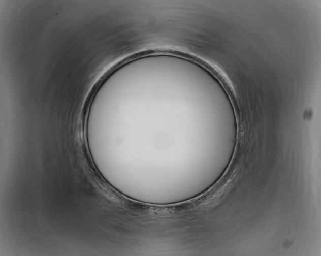 X0000100860887200806200835