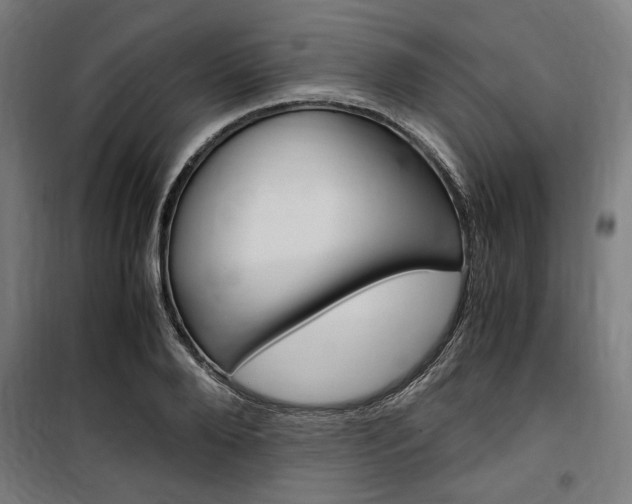 X0000100860888200806200835