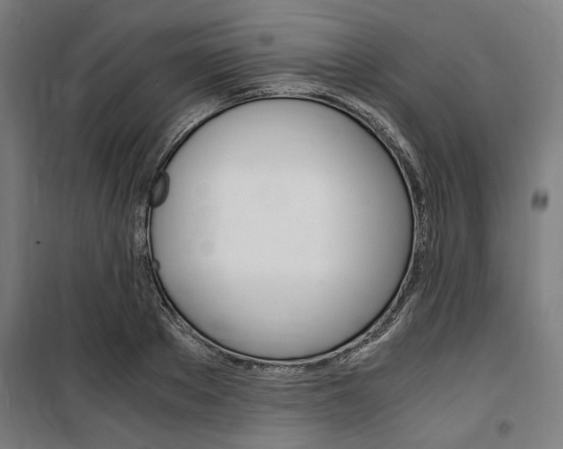 X0000100860889200806200835