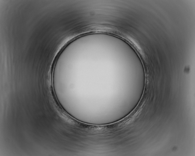 X0000100860891200806200835