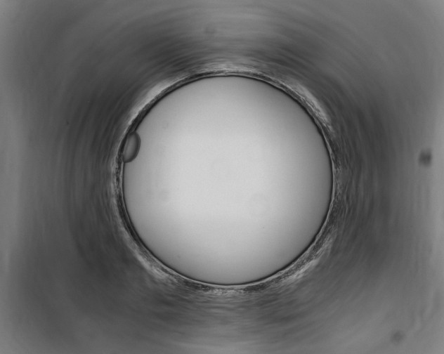 X0000100860893200806200835