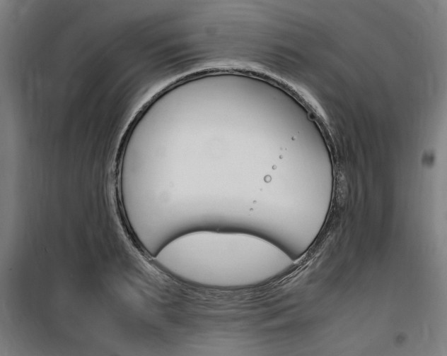 X0000100860895200806200835