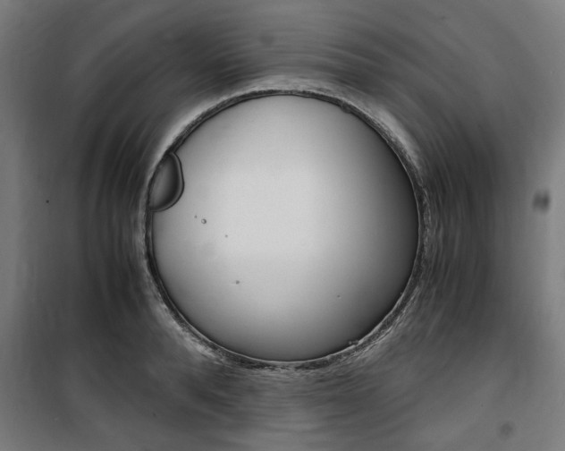 X0000100860896200806200835