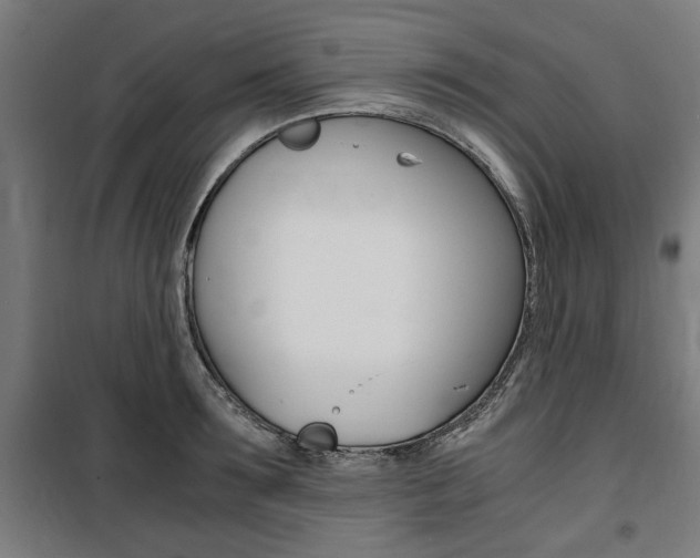 X0000100860899200806200835